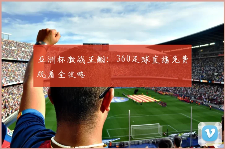 亚洲杯激战正酣：360足球直播免费观看全攻略